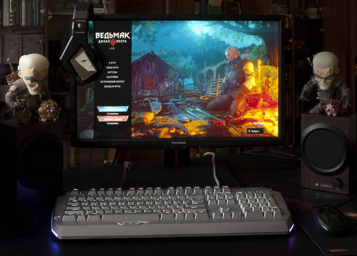 GAMER.ru - Монитор ViewSonic XG2401 – мое новое окно в виртуальный мир